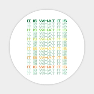 It is what it IS MultiColored green and yellow Magnet